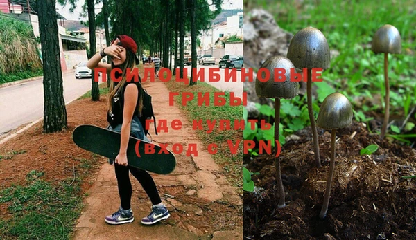 спиды Алексеевка