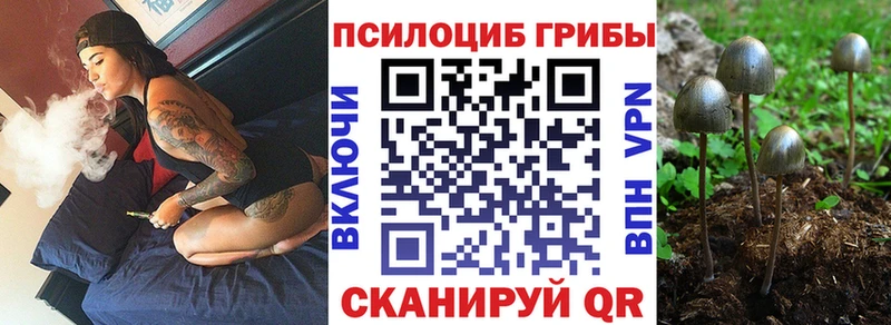 Галлюциногенные грибы GOLDEN TEACHER  Конаково 